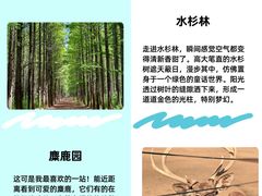 -日照海滨国家森林公园