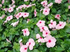 -上方山森林动物世界