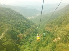 -王顺山国家森林公园