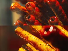 -和禄德冰糖葫芦
