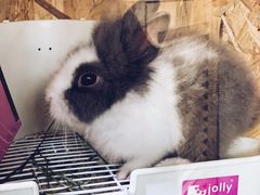 -小意思咖啡店(草桥店)