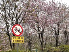 -广东花都湖国家湿地公园