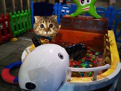 -南宫温泉水世界