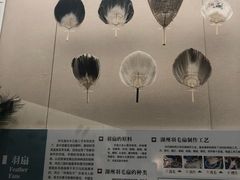 -中国扇博物馆