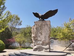 -北京鹫峰国家森林公园