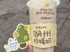 -猫的魔法密林(衣裳街店)