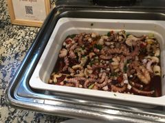 美极鲜鱿鱼-梅园国际大酒店·自助餐厅(光明港店)