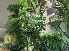 -卡朋西餐(悦汇城店)