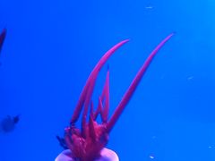 -常州海昌海洋探索馆