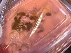 -江记甜品(罗湖店)