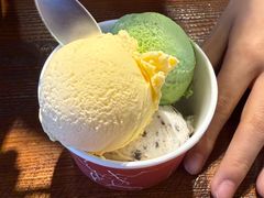 -源茂冷饮厅(哈尔滨中央大街店)