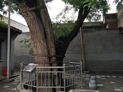 景点-于右任故居