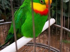 -南宫五洲植物乐园