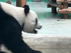 -柳州市动物园