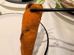 -丁老爷子苏香圆