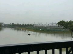 -上海多利农业发展有限公司