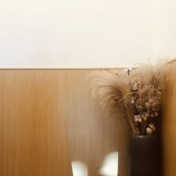 -THE LOG SALON 记录