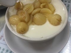 -义顺牛奶公司(新马路老店)