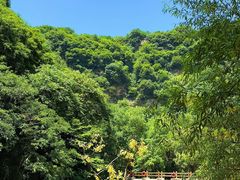 -少华山国家森林公园