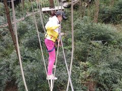 -梦幻奥陶纪景区