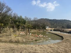 -杭州野生动物世界