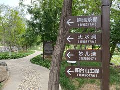 -阳台山自然风景区