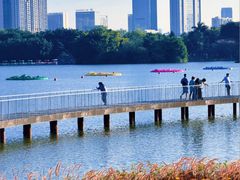 -海珠湖公园