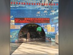 -蓬莱欧乐堡海洋极地世界