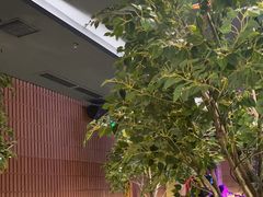 -同仁四季椰子鸡(海岸城天利店)
