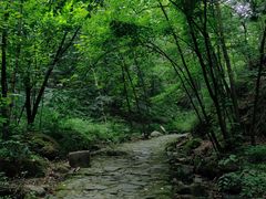 -洛阳白云山景区