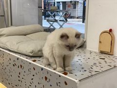 -FULL MOON满月咖啡