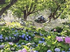 -名花谷生态庄园