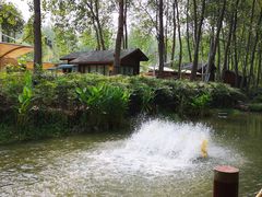 -合肥滨湖国家森林公园