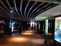 -上海金逸影城(静安大悦城店（原新恒星影城）)