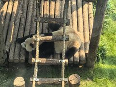 -大连森林动物园