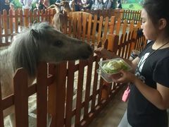 -华夏文旅海洋公园