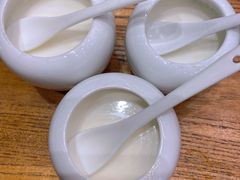 自制酸奶-饭怕鱼(阳光100店)