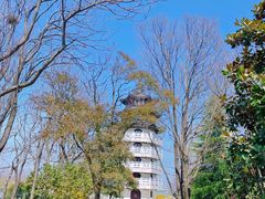 -扬州市茱萸湾风景区