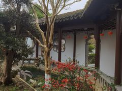 -苏州冶园园林民宿(太湖西山风景区店)