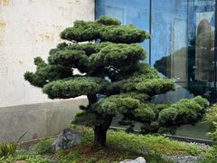 -走马楼饭庄(慈城古县城店)