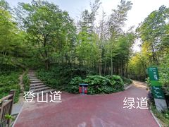 -紫金山山顶公园