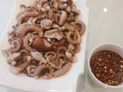 爽口八爪鱼-双井轩(双井店)