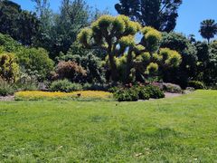 -墨尔本皇家植物园