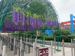 -南京银杏湖乐园