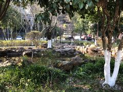 -三江森林温泉度假区