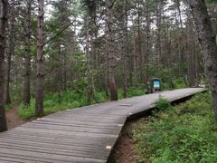 -帽儿山国家森林公园