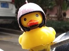 -中国工商银行(上海市松江支行)
