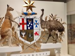 -墨尔本博物馆(Melbourne Museum)
