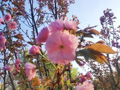 -长白岛森林公园