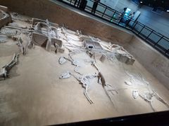 -洛阳周王城天子驾六博物馆